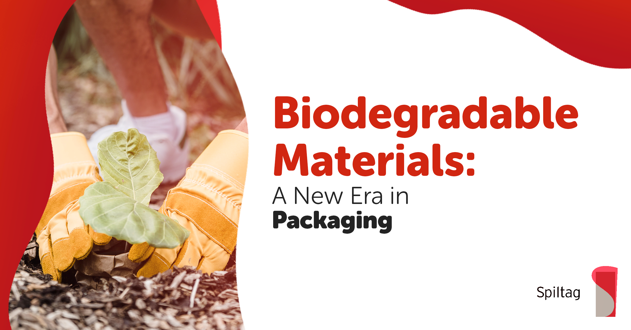 biodegradabel materials