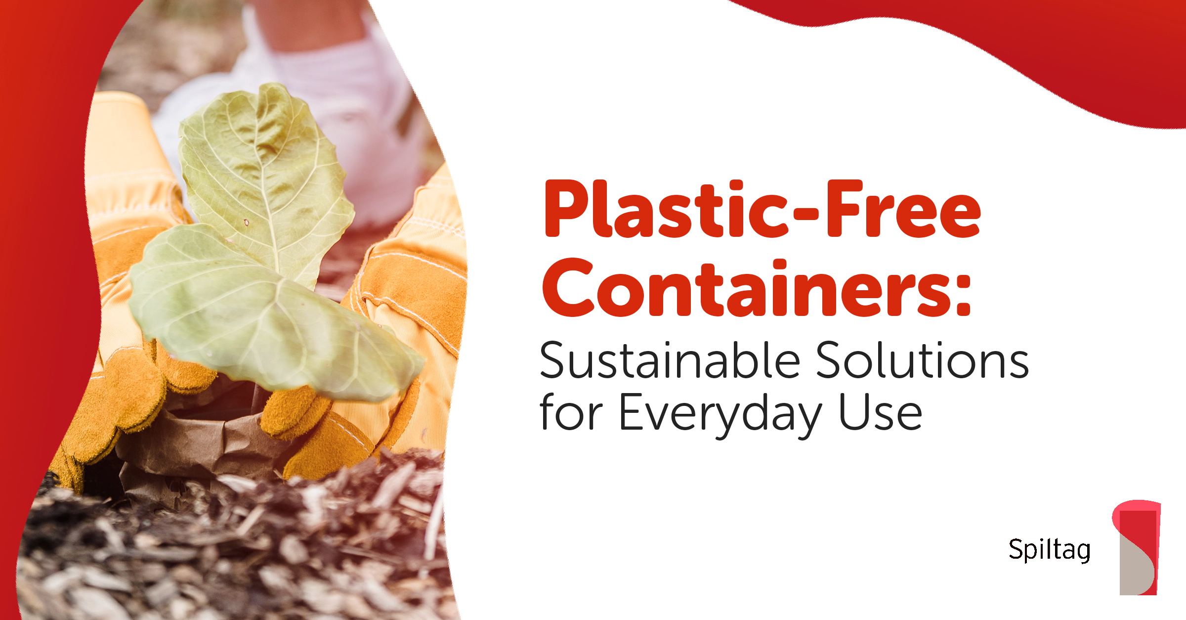 Plastic-Free Containers